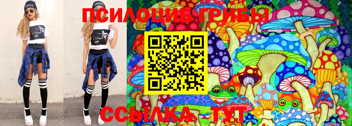 цены   Псилоцибиновые грибы мицелий  Вход с VPN  Богородицк 