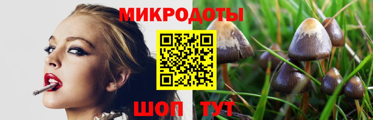 Псилоцибиновые грибы Psilocybe Богородицк